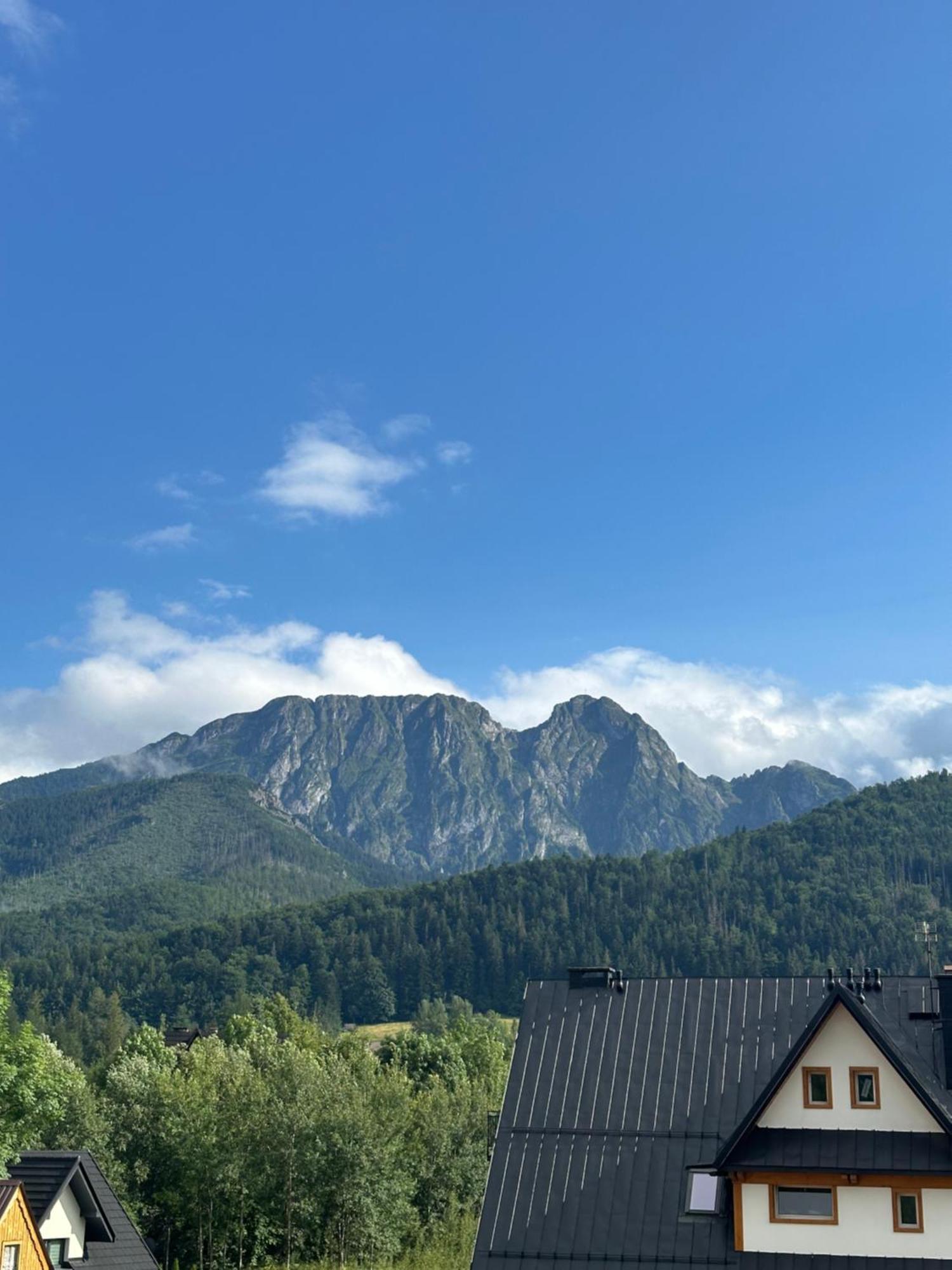 Willa Szafran Zakopane Exterior photo