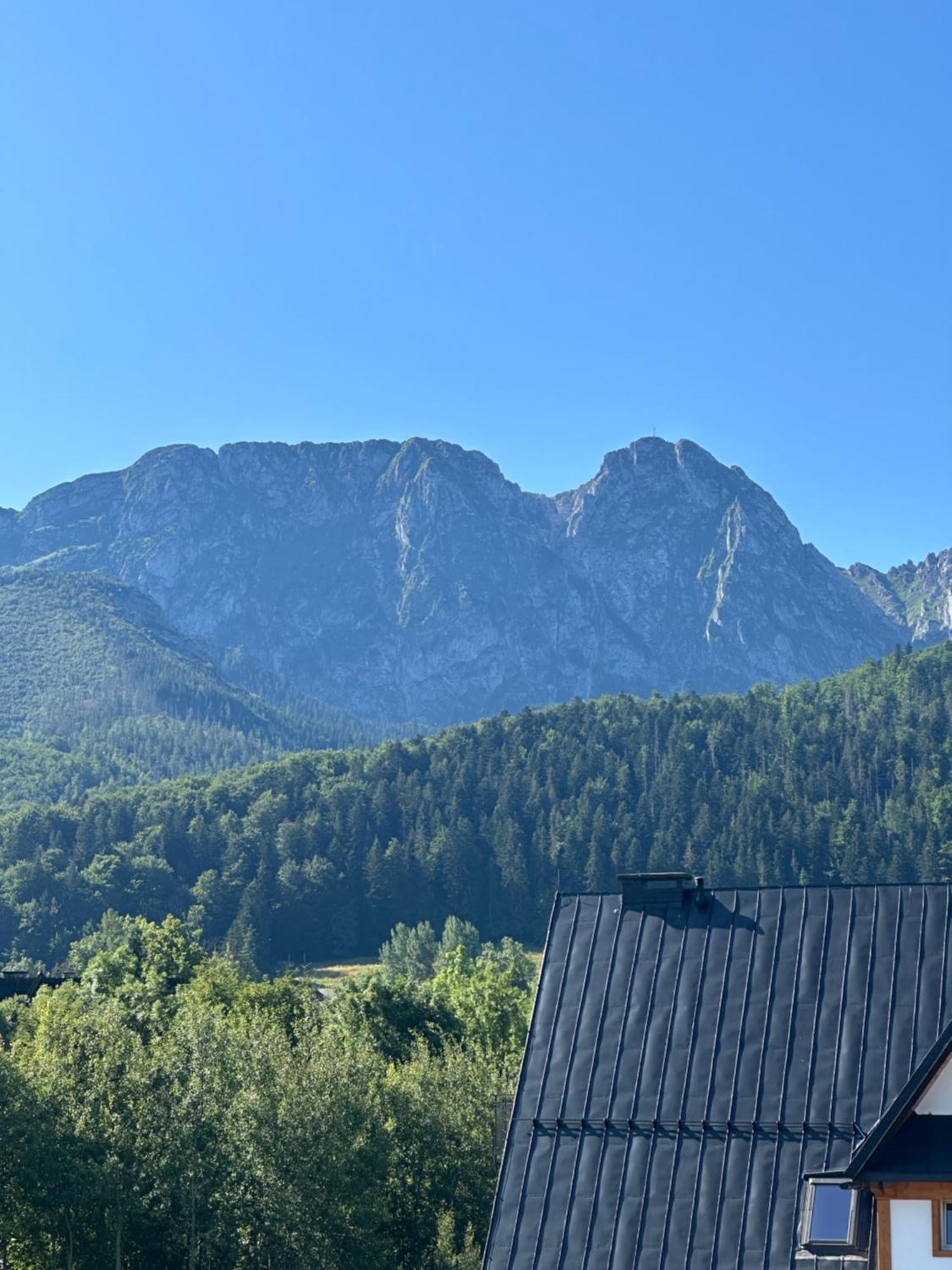 Willa Szafran Zakopane Exterior photo