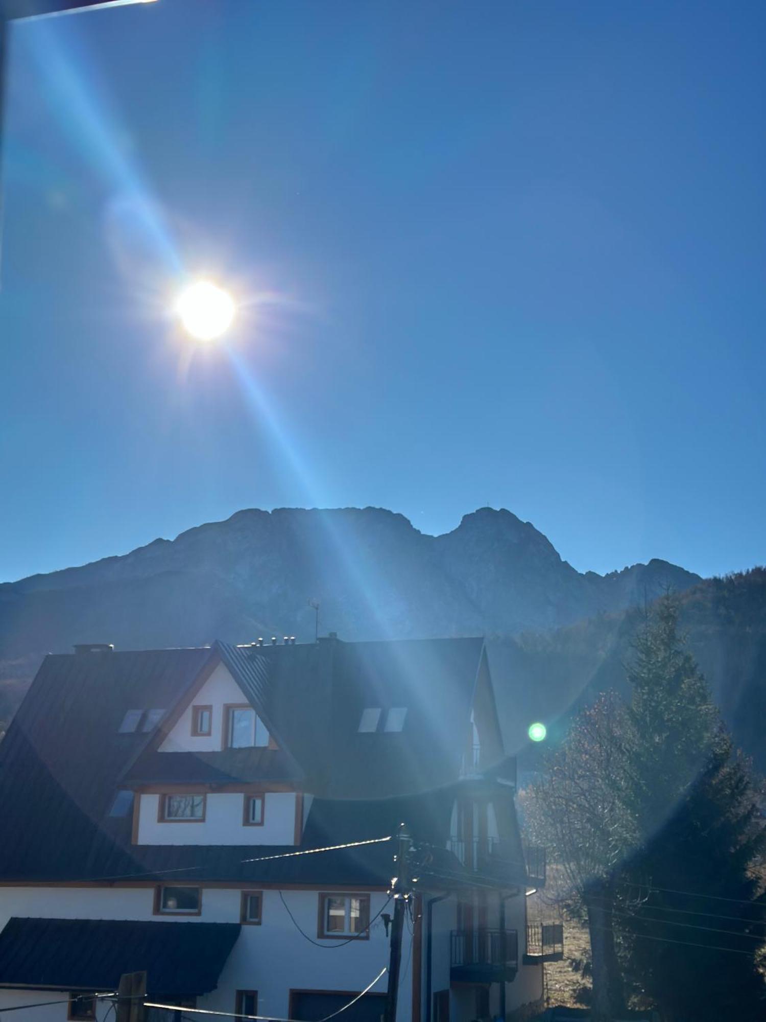 Willa Szafran Zakopane Exterior photo